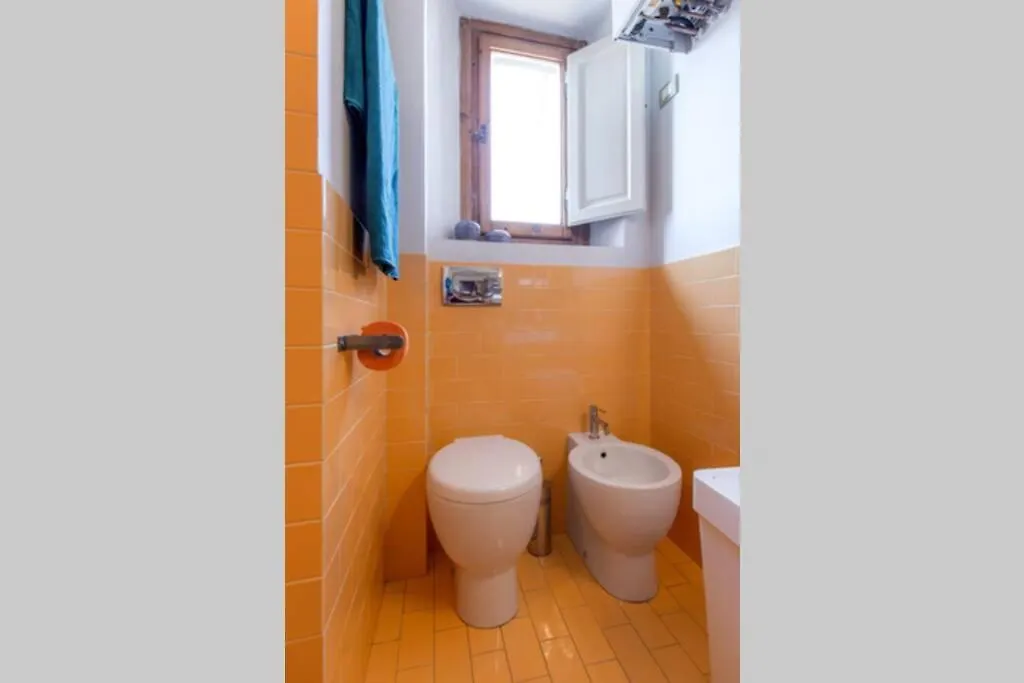 Sunny Top Floor In San Frediano Florencie